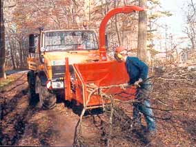 Gehlzschnitt Heckenschnitt Schredderarbeiten